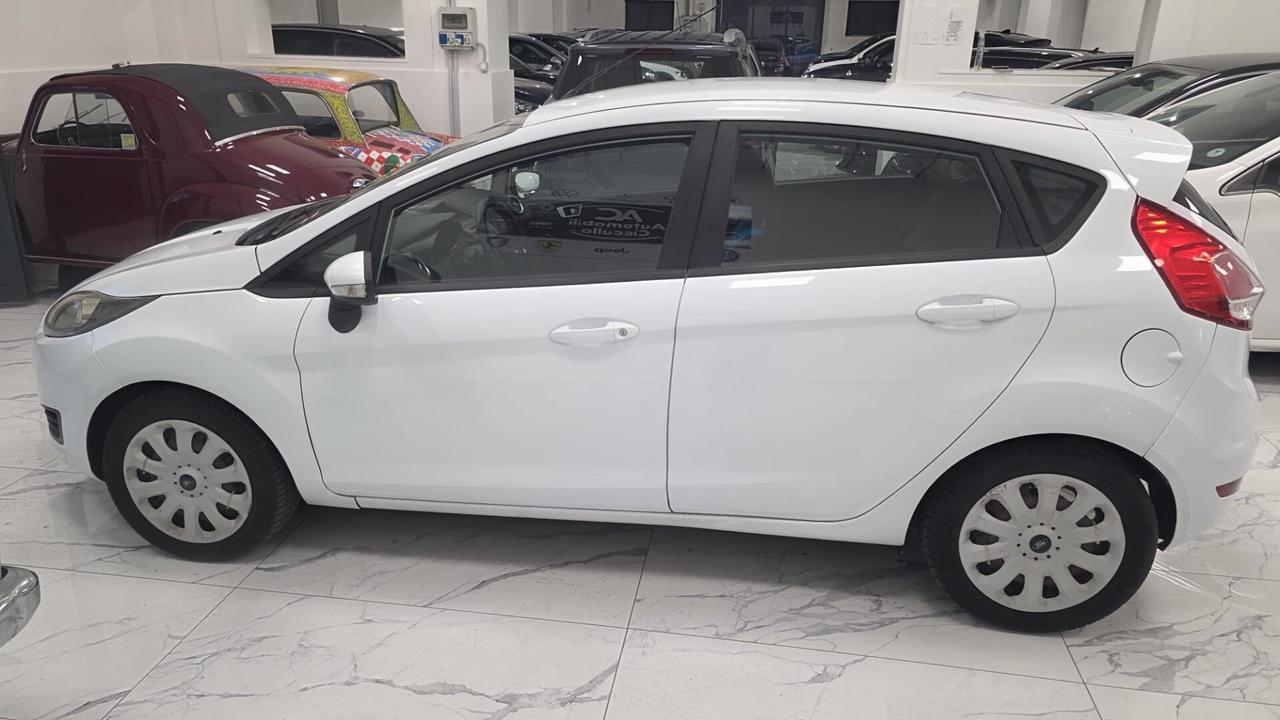 Ford Fiesta 1.2 60CV 5 porte Business