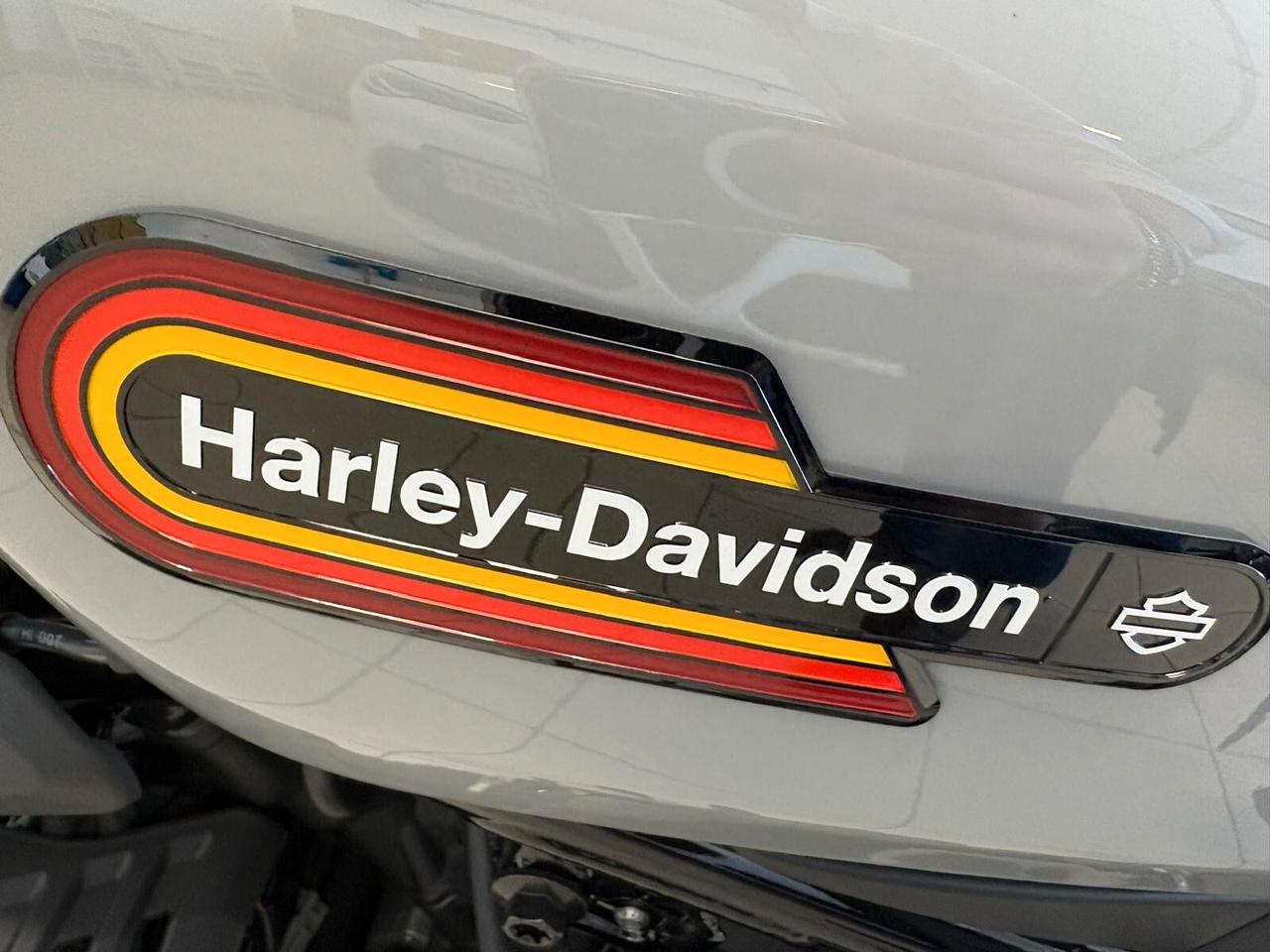 Harley-davidson Nightster SPECIAL 975 90 cv UNICO PR.