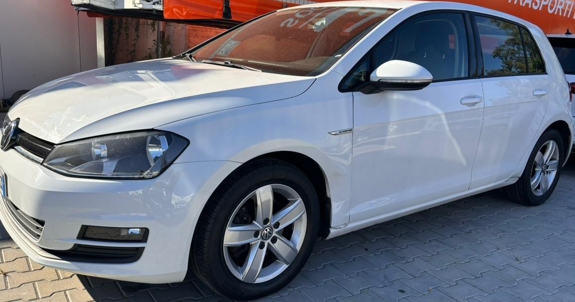 Volkswagen Golf Business 1.4 TGI 5p. Highline BlueMotion