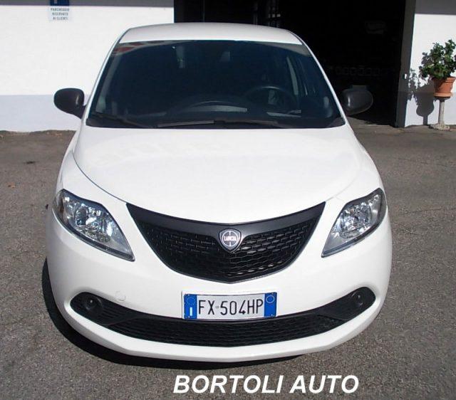 LANCIA Ypsilon 1.2 GPL 42.000 KM ELEFANTINO IDONEA NEOPATENTATI