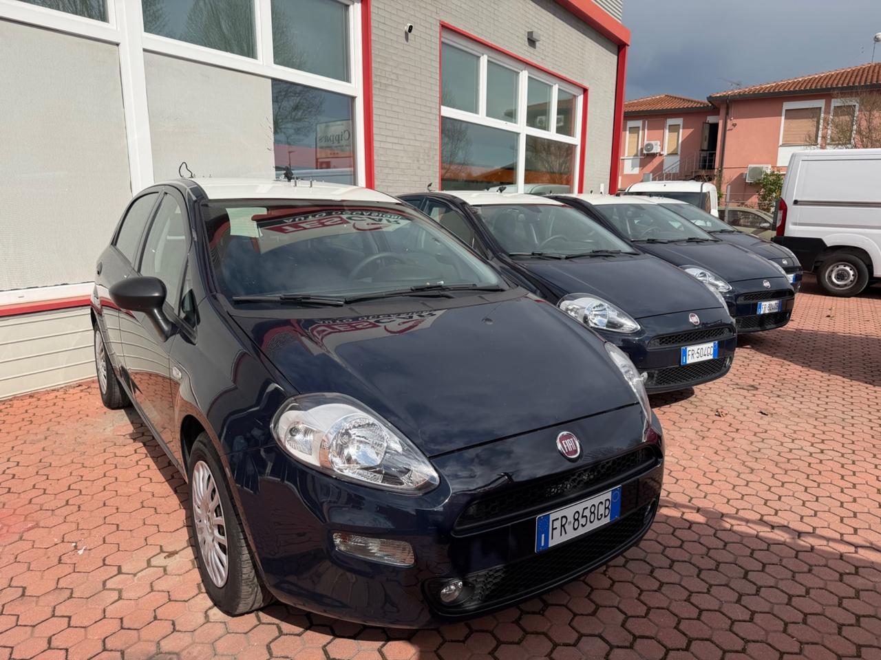 Fiat Punto 1.3 MJT II S&S 95 CV 5 porte Street