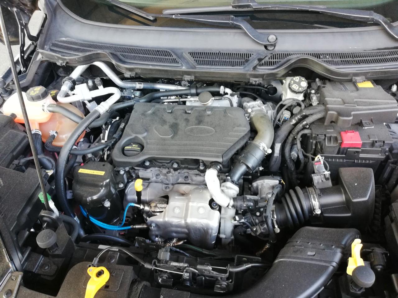 Ford EcoSport 1.5 TDCi 100 CV Start&Stop Plus