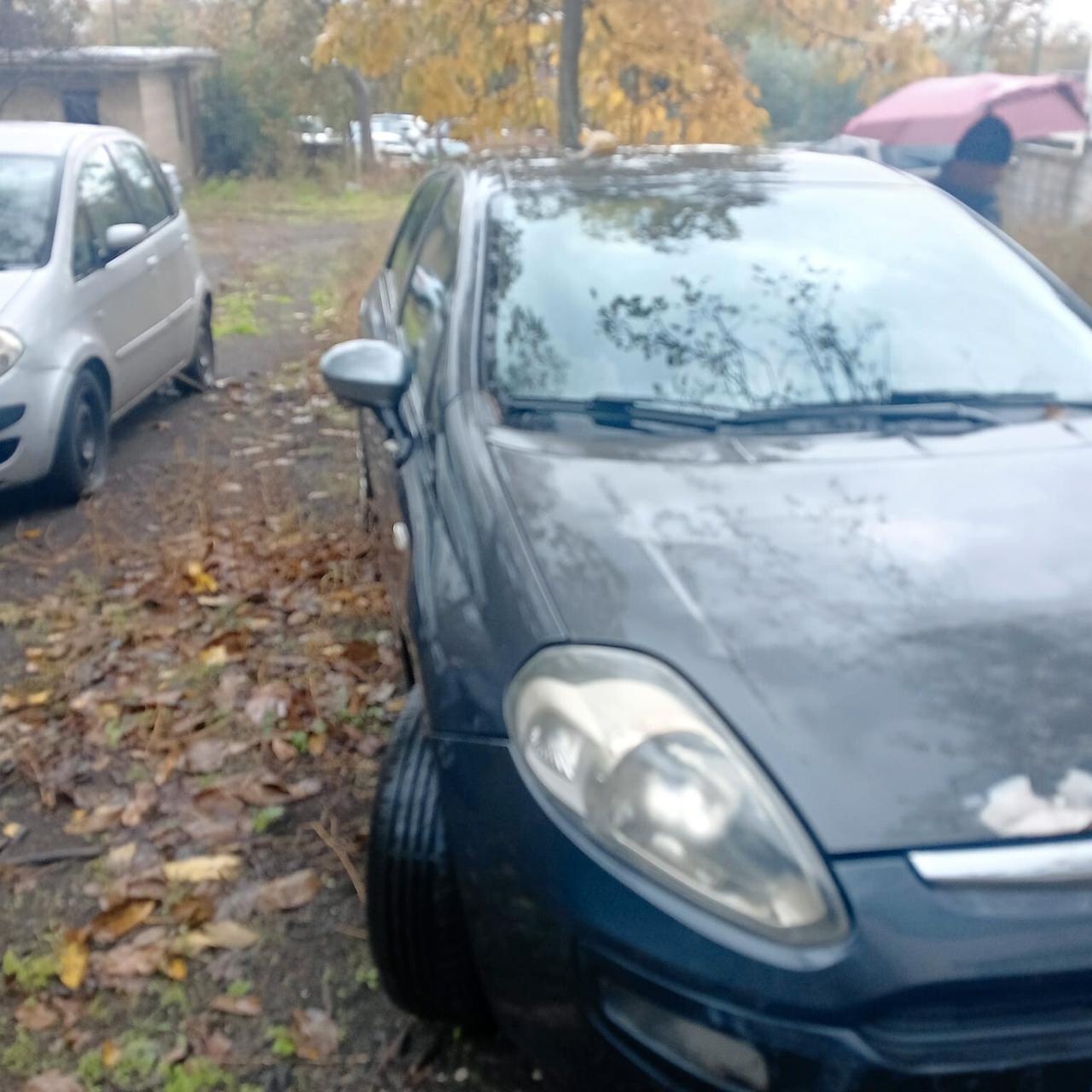 Fiat Punto Evo Punto Evo 1.3 Mjt 75 CV 5 porte Dynamic