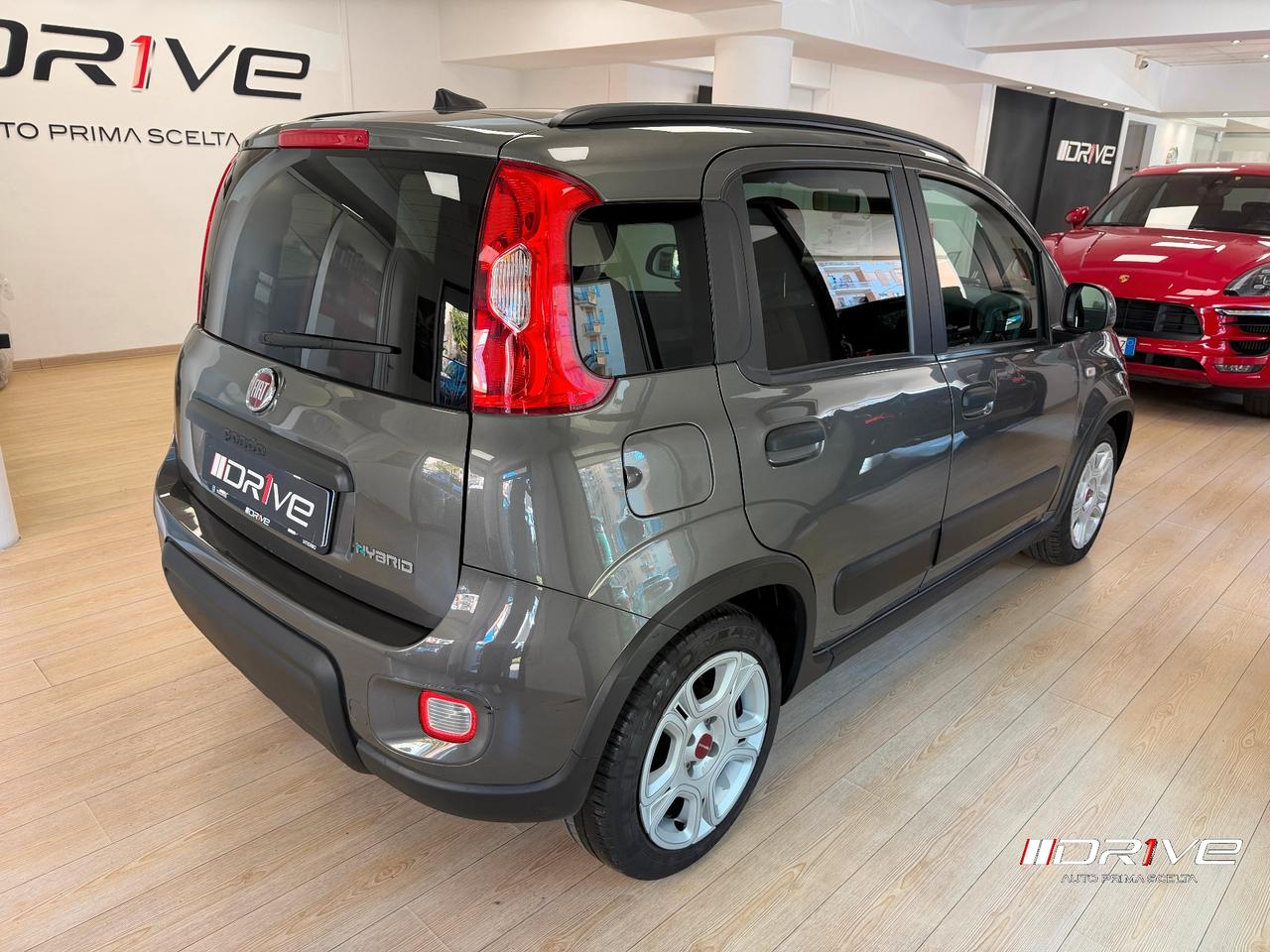 FIAT Panda 3ª serie Panda 1.0 FireFly S&S Hybrid
