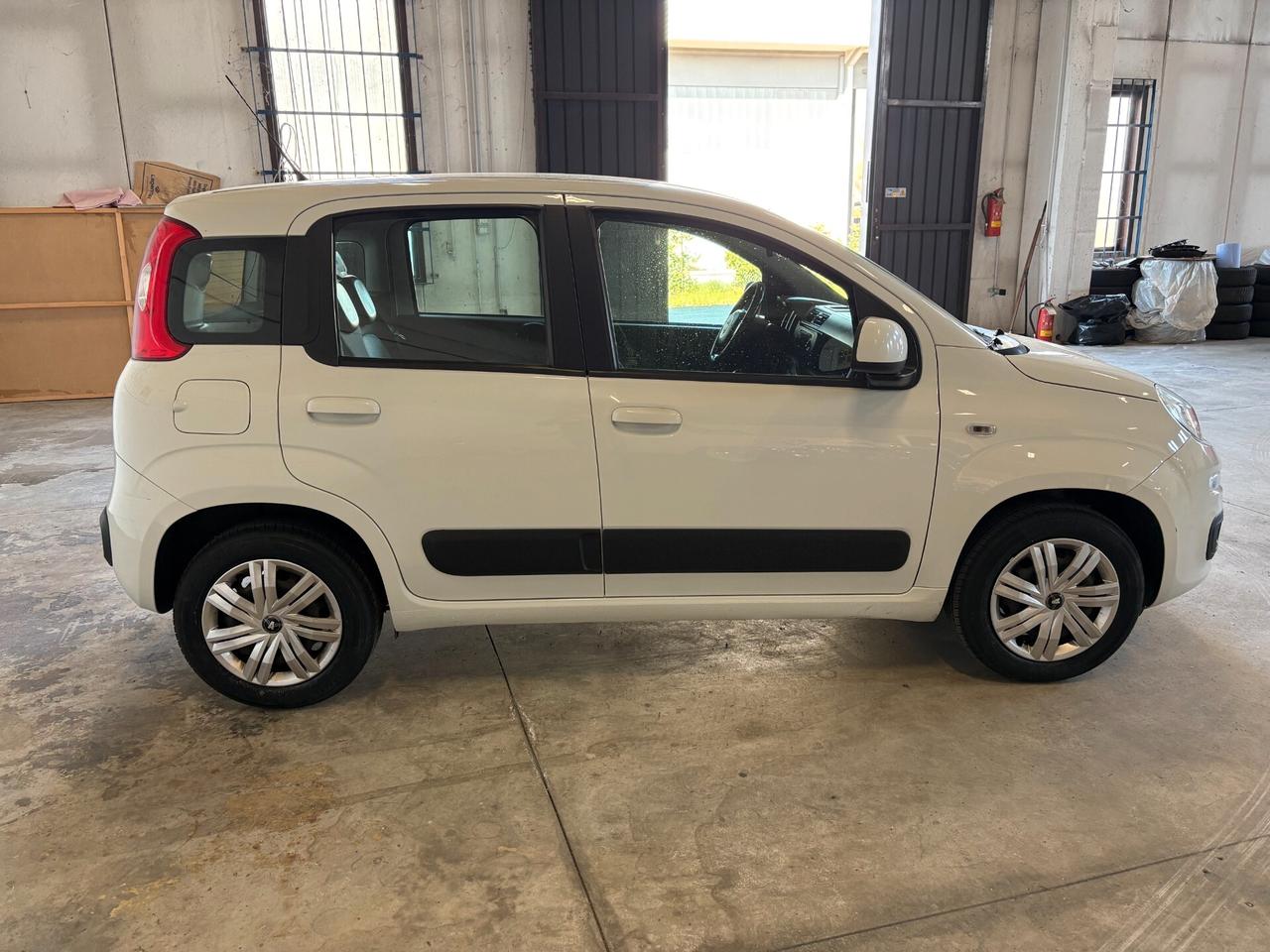 Fiat Panda 1.2 Lounge 5 POSTI Cinghia & Frizione Nuove