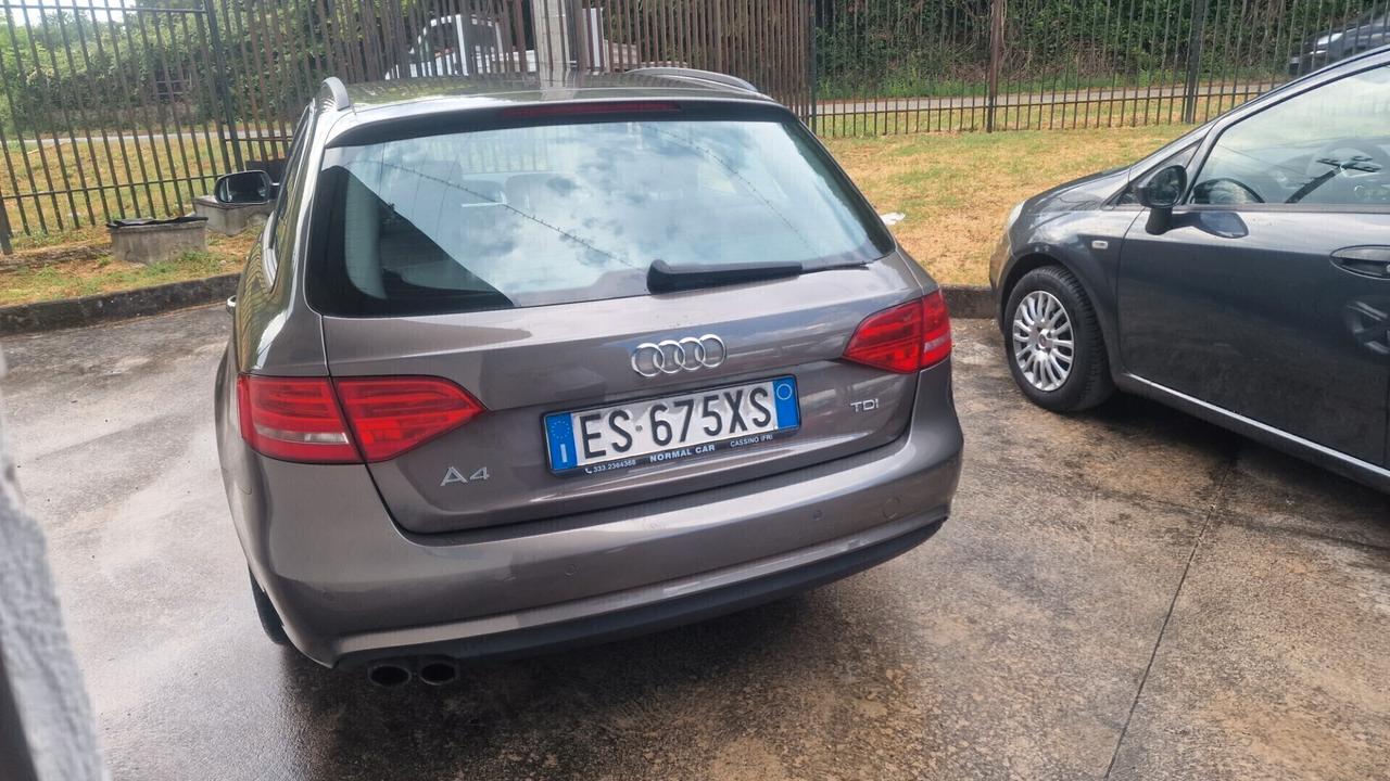 Audi A4 Avant 2.0 TDI 177CV Business Plus "ottime condiz."