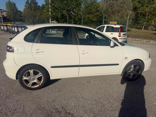 SEAT Ibiza 1.4 16V 85CV 5p. Special Ed. Dual BENZINA/GPL