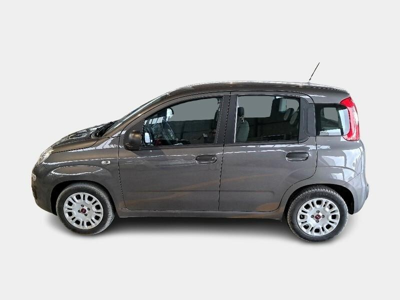 FIAT PANDA 1.0 70cv S/S Hybrid E6d-T Easy 5 PORTE