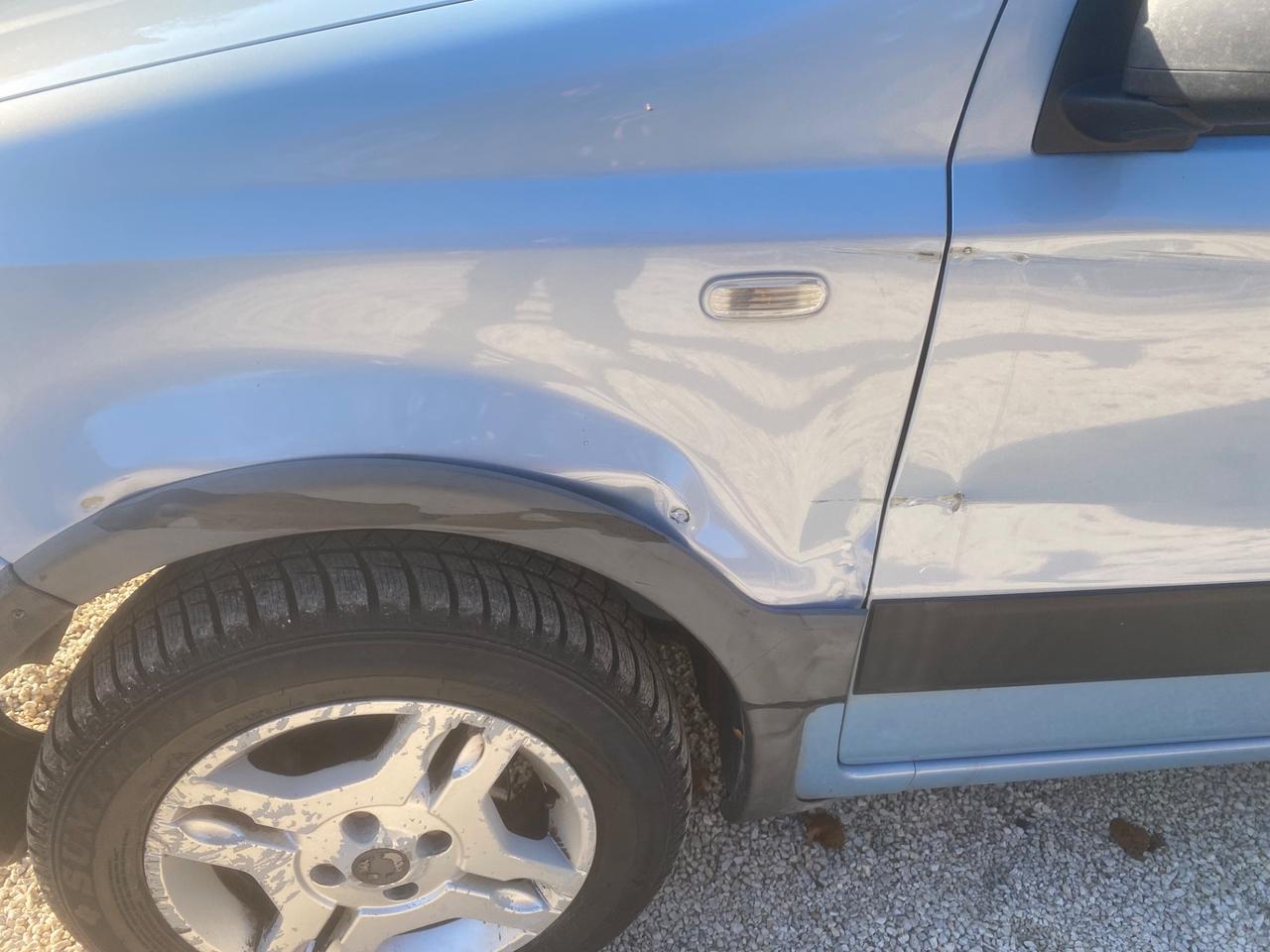 Fiat Panda 1.2 Climbing Natural Power