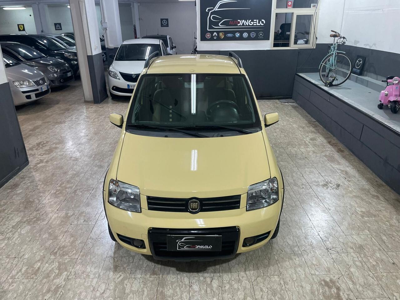 Fiat Panda 1.2 Climbing Natural Power
