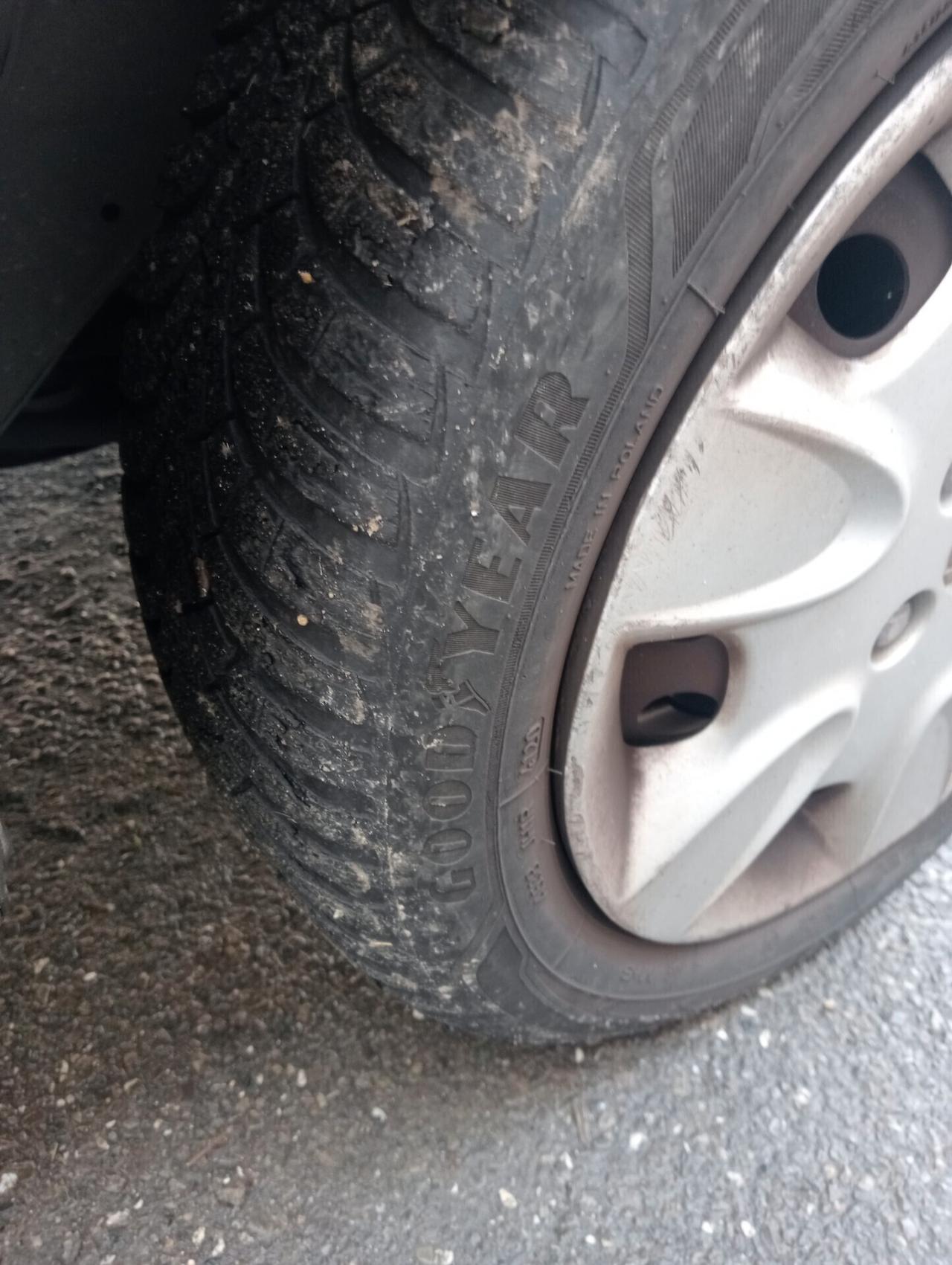 Nissan Micra 1.2 16V 5 porte Jive X Neopatentati