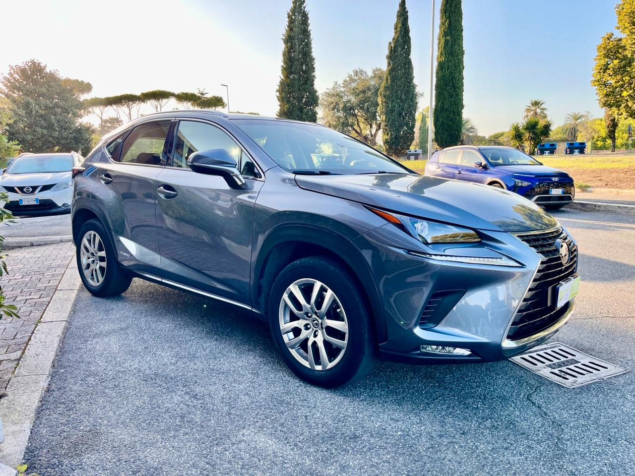 Lexus NX 300h Hybrid 4WD Business