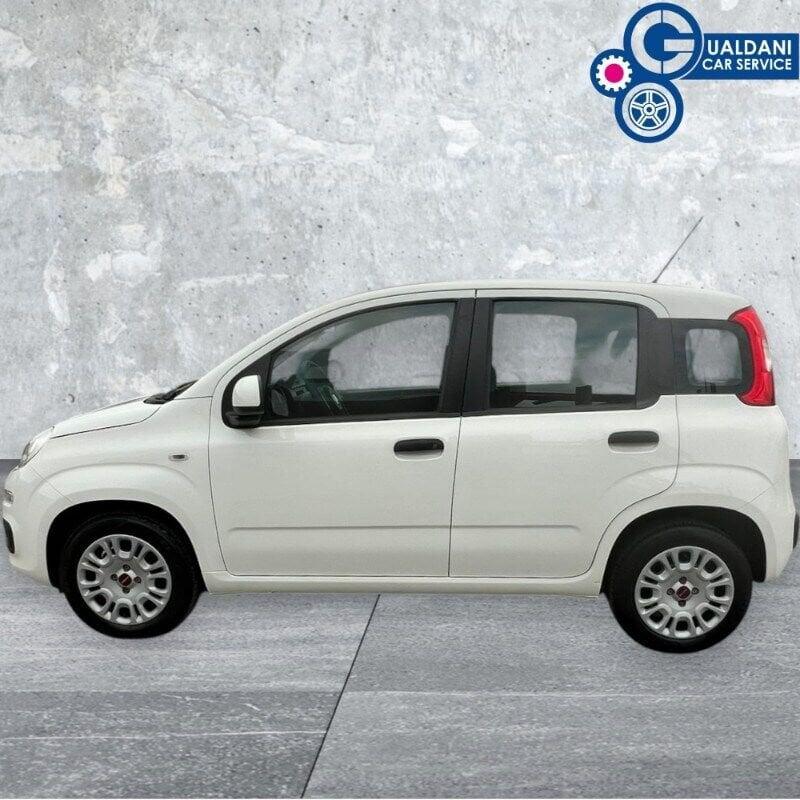 FIAT Panda Panda 1.2 Easy Van 4 posti
