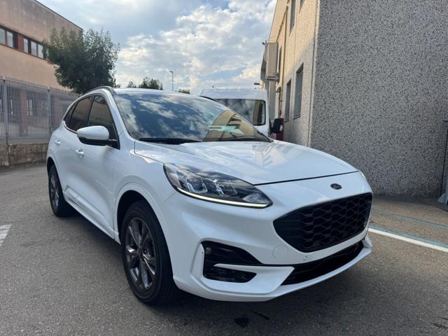 FORD Kuga 2.5 Plug In Hybrid 225 CV CVT ST-Line
