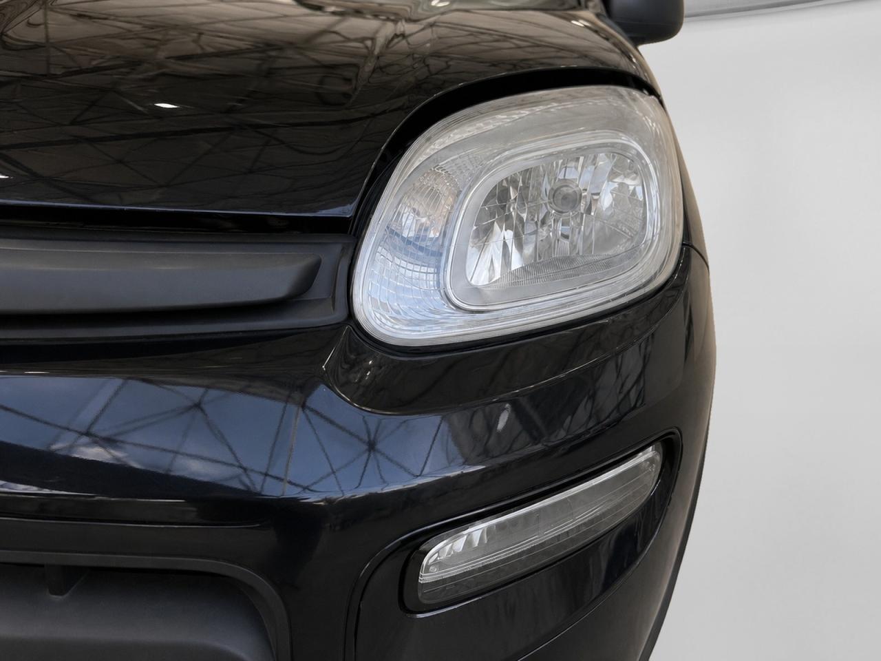 FIAT Panda III 2021 - Panda 1.0 firefly hybrid s&s 70cv 5p.ti