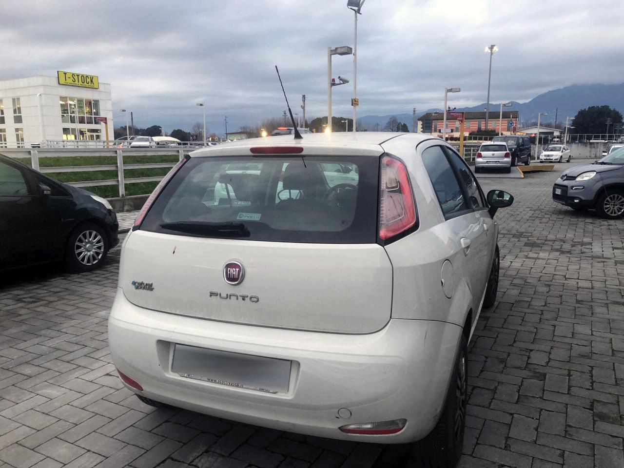 Fiat Punto 1.4 8V 5 porte Natural Power Lounge