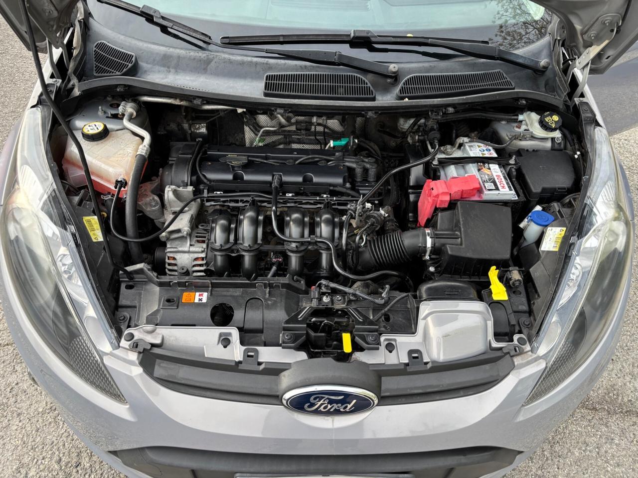 Ford Fiesta 1.2 60CV 5p. OK NEOPATENTATI