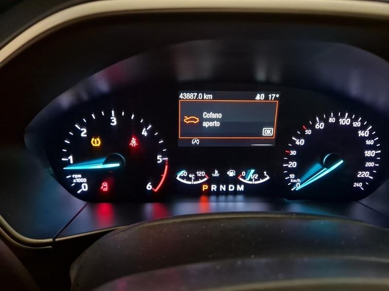 FORD FOCUS WAGON 1.5 Ecoblue 120cv Business Co-Pilot Auto