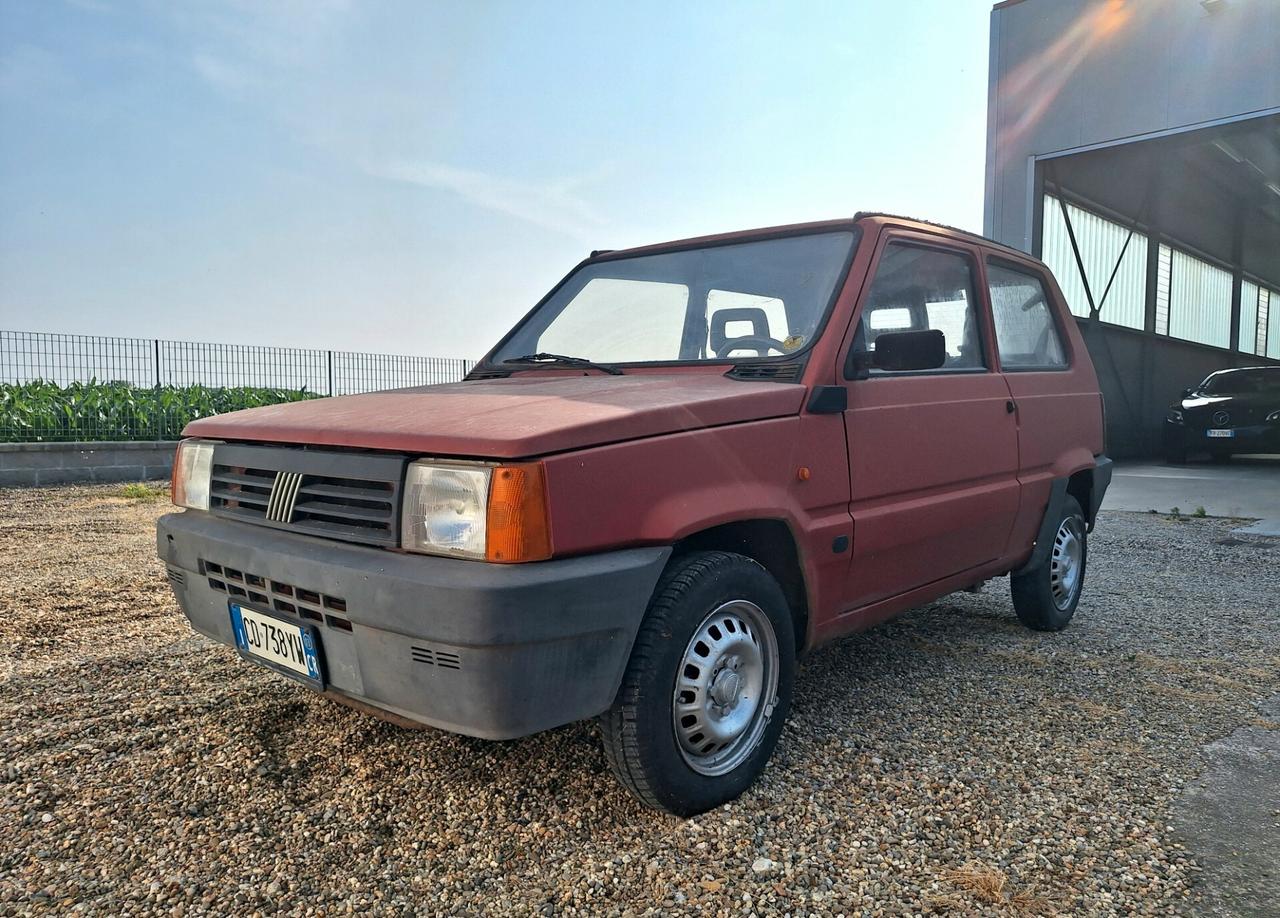 Fiat Panda 1100 i.e. cat Young
