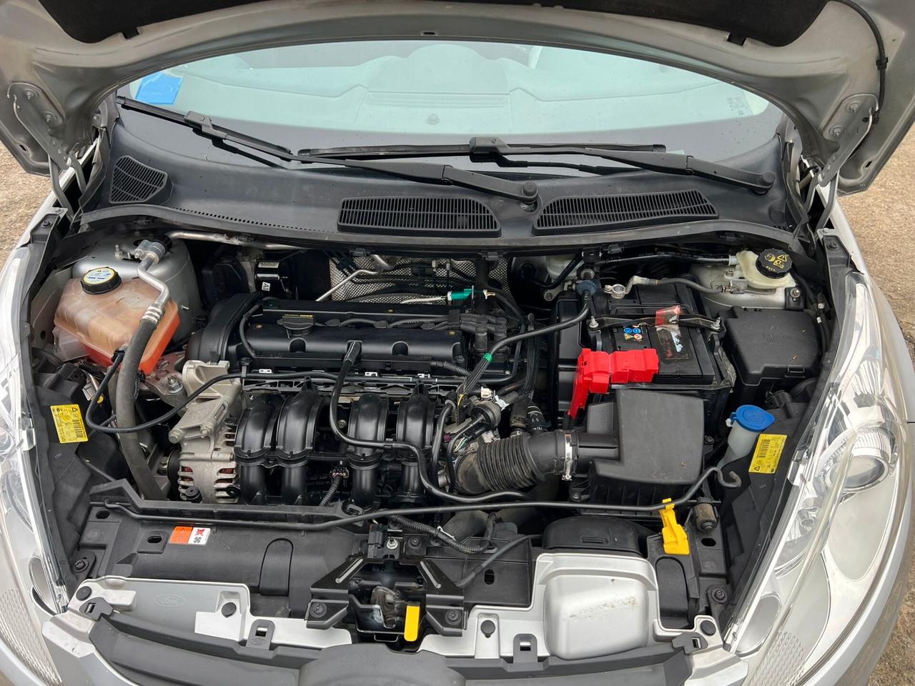 Ford Fiesta 1.2 82 CV 5 porte Titanium