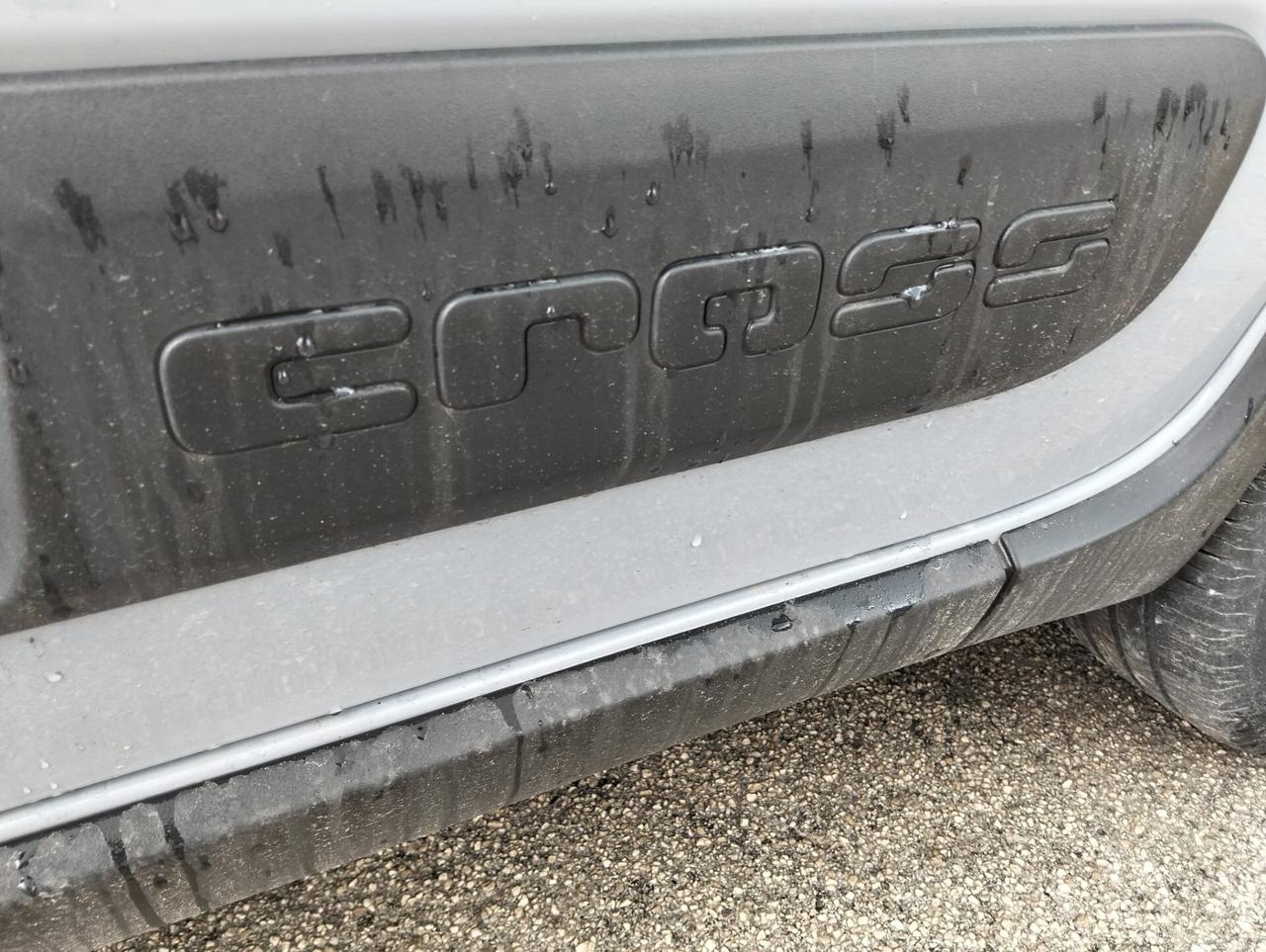 Fiat Panda Cross 1.0 Hybrid 2020 SINISTRATA