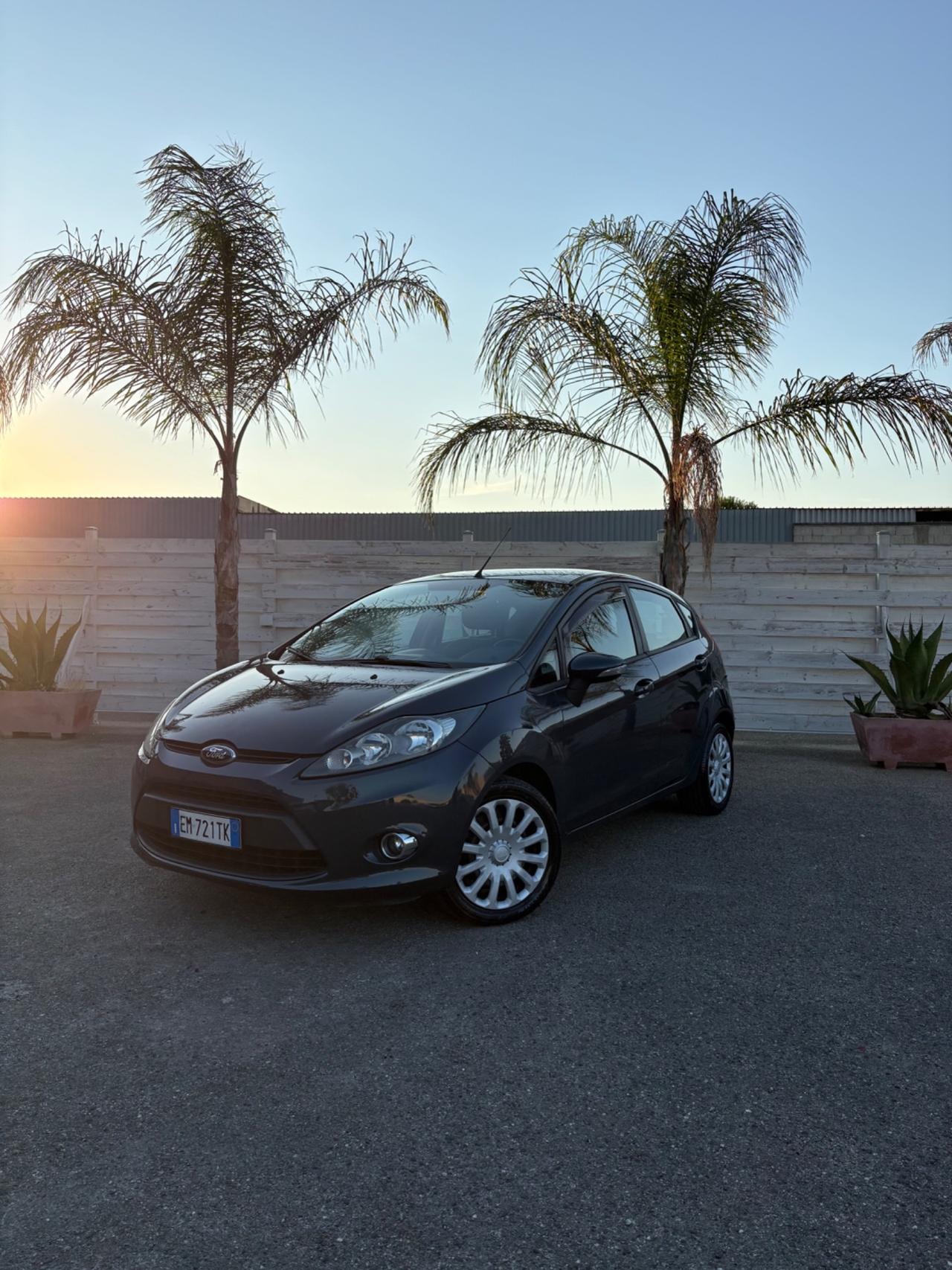 Ford Fiesta 1.6 TDCi 95 CV 5p. Tagliando eseguito