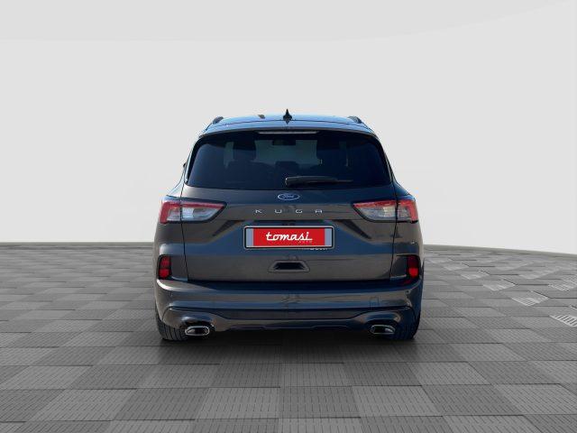 FORD Kuga Kuga 1.5 EcoBlue 120 CV aut. 2WD ST-Line