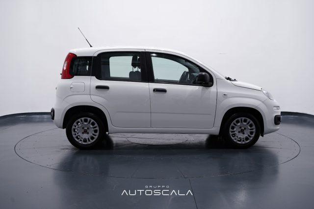 FIAT New Panda 1.2 Easy 4 posti N1 Autocarro della casa