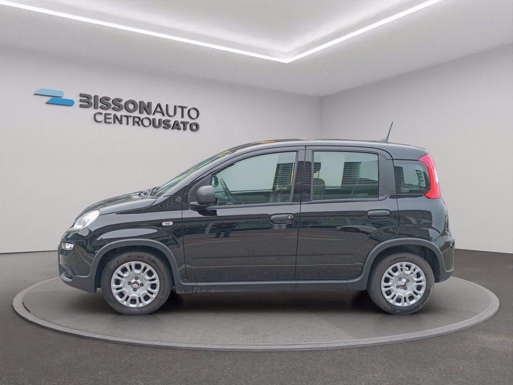 FIAT Panda 1.0 firefly hybrid s&s 70cv del 2024