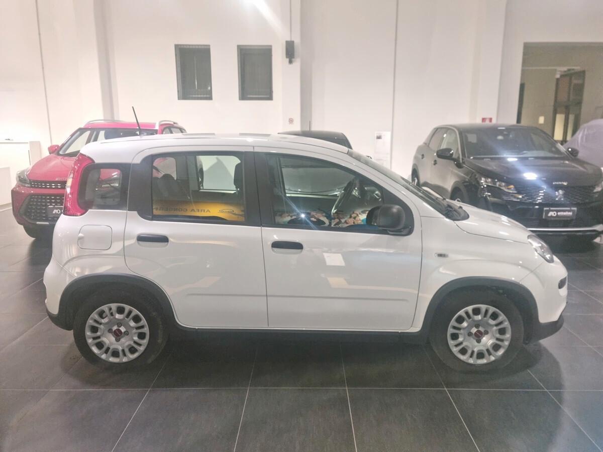 Fiat Panda 1.0 Hybrid 70cv S&S 5 posti AZIENDALE