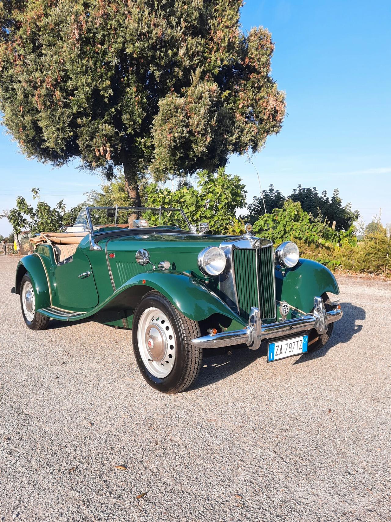Mg TD