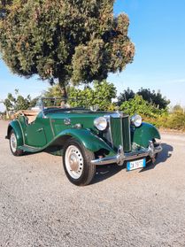Mg TD