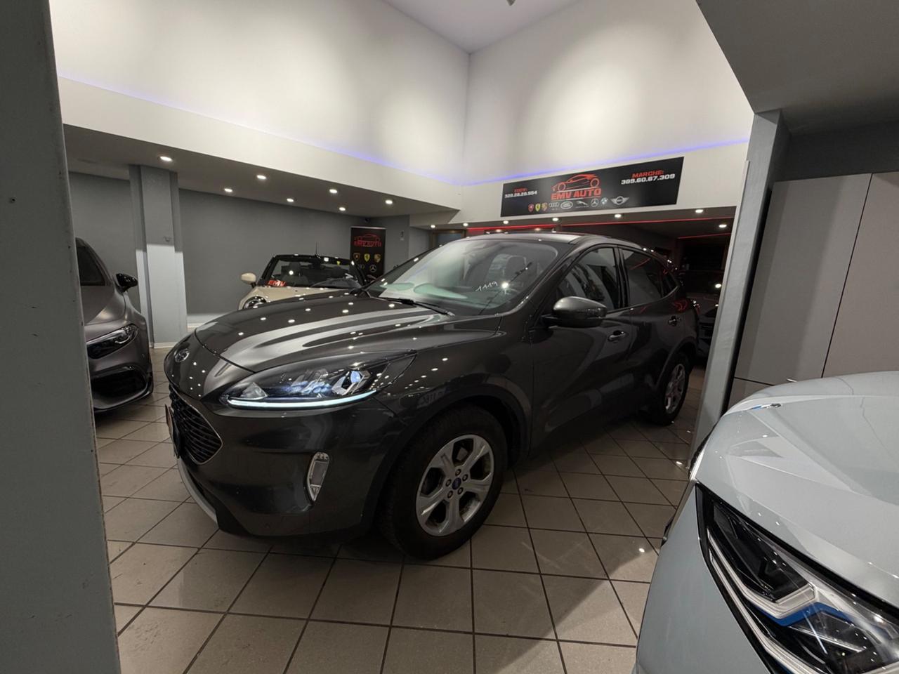 Ford Kuga 1.5 EcoBlue 120 CV 2WD ST-Line (88 kw)
