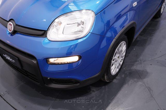 FIAT New Panda My25 1.0 FireFly S&S Hybrid #Pack City #5posto