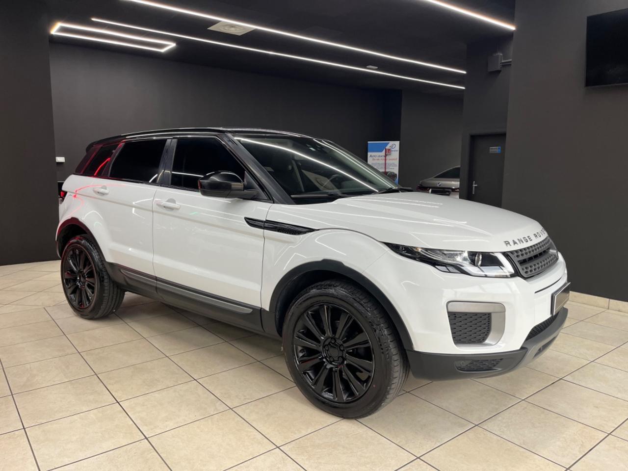 Land Rover Evoque 2.0 eD4 5p. SE 150CV 2017