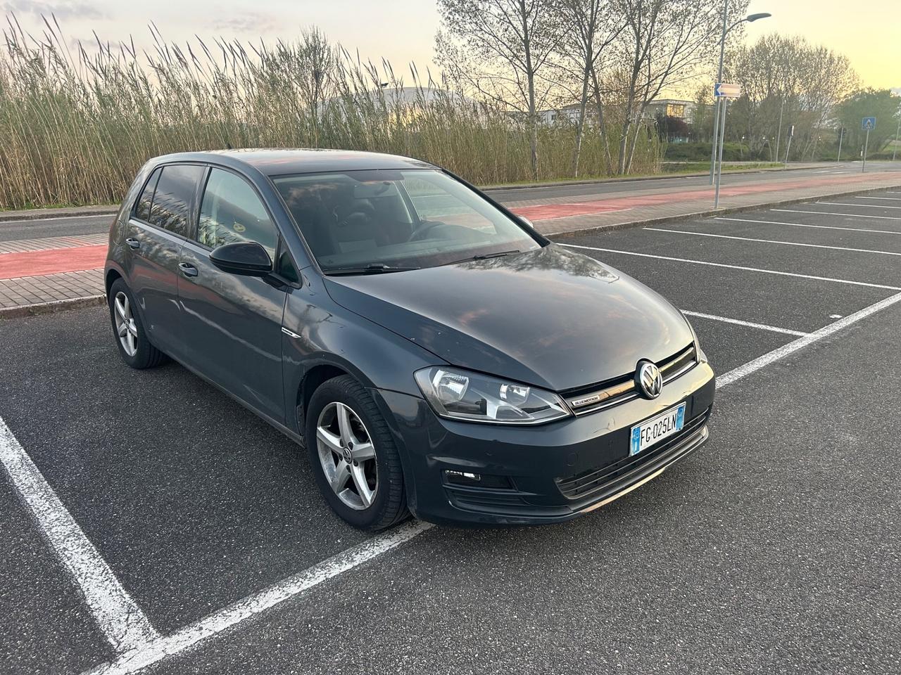 Volkswagen Golf serie 7 - 1.4 TGI 5p. Executive BlueMotion