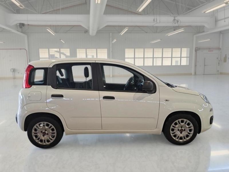 FIAT PANDA 1.0 70 CV SES HYBRID E6D-T EASY 5 PORTE BERLINA
