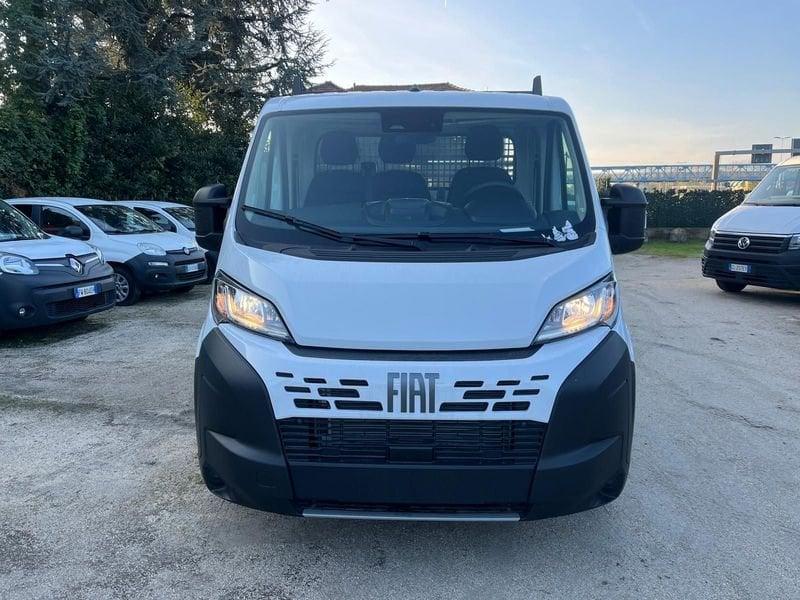 FIAT Ducato Ducato 35 2.2 Mjt 120CV PLM Cassonato (IVA ESCL)