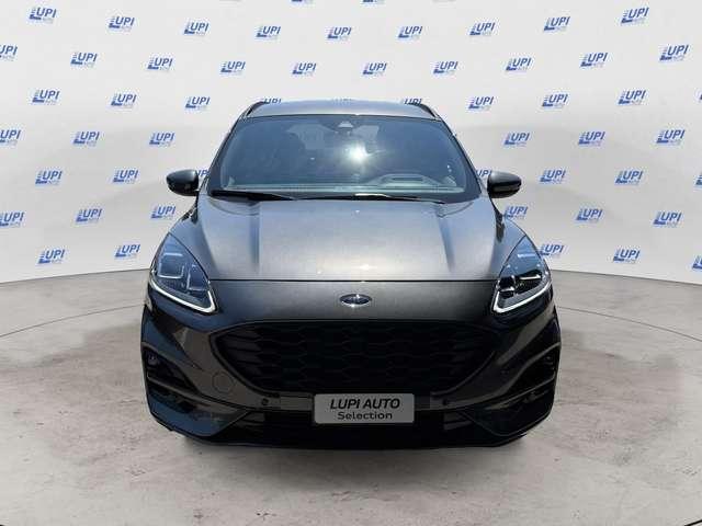 Ford Kuga 2.0 ecoblue ST-Line 2wd 120cv auto