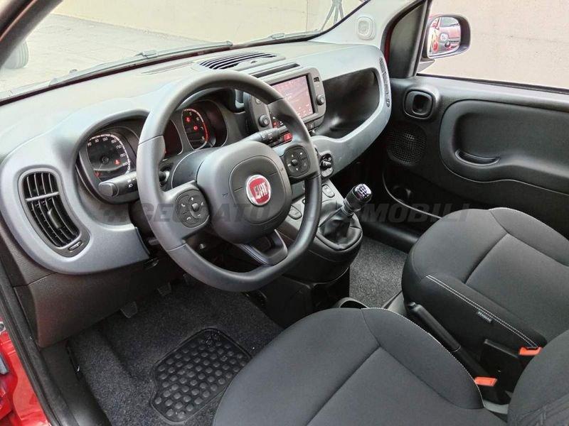 FIAT Panda Cross Panda 1.0 firefly hybrid Cross s&s 70cv 5p.ti