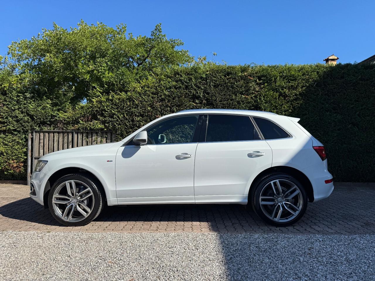 Audi Q5 2.0 TDI 190 CV clean diesel quattro S tr. Advanced Plus S-Line Plus