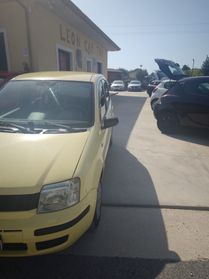 Fiat Panda 1.2 Dynamic garantita 12 mesi