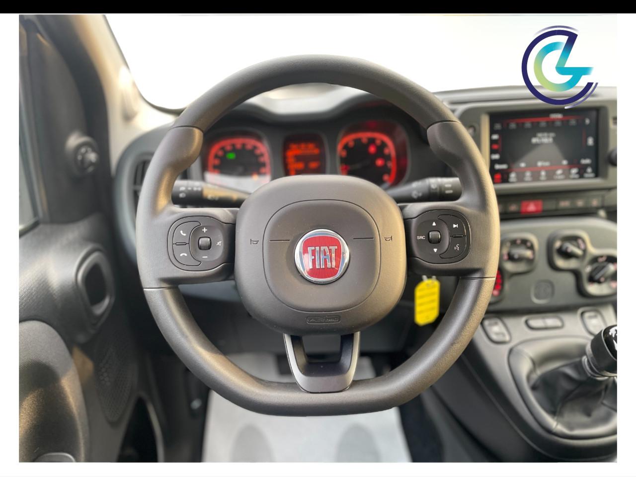 FIAT Panda III 2021 - Panda 1.0 firefly hybrid s&s 70cv 5p.ti