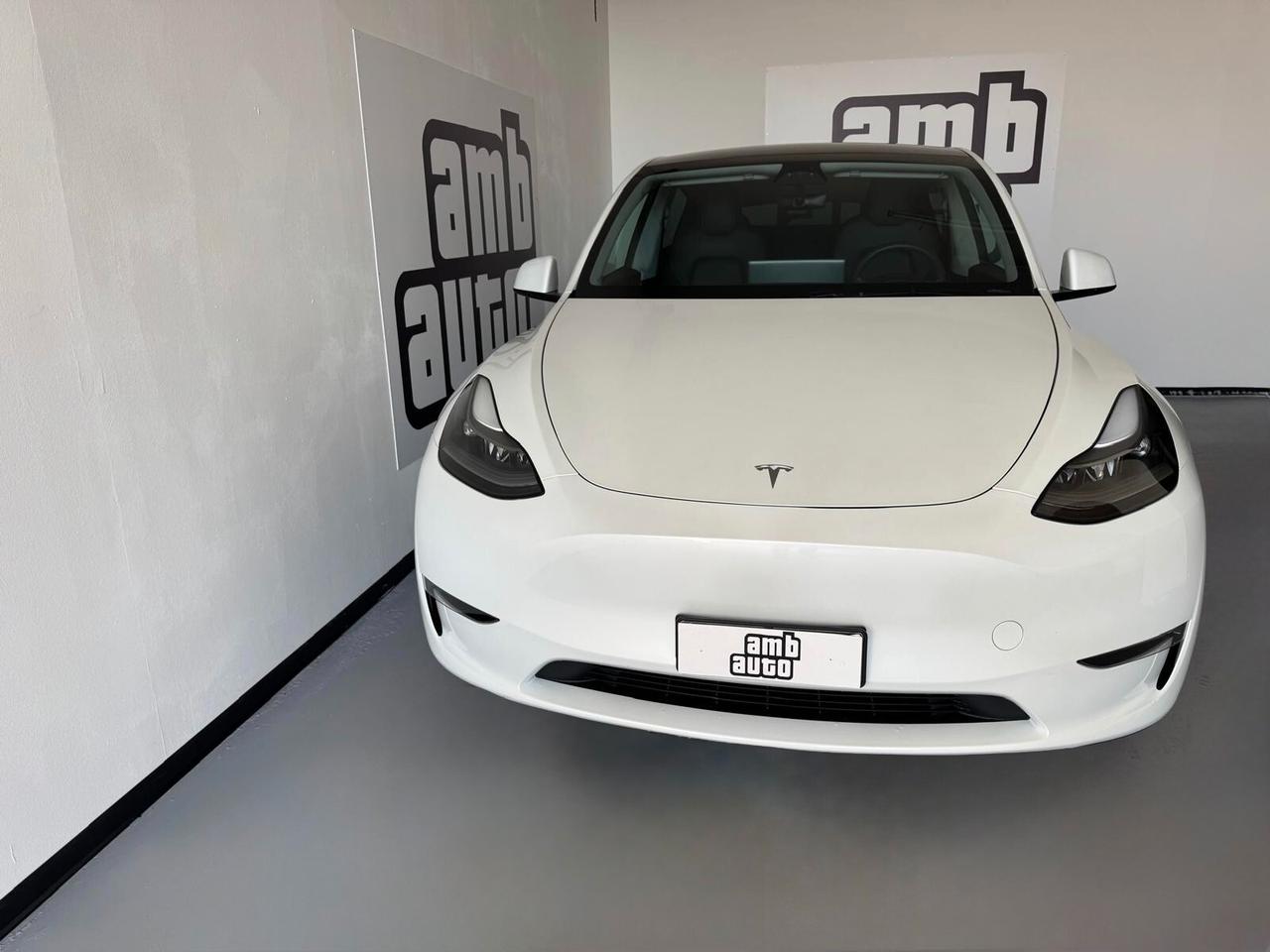 Tesla Model Y Long Range AWD