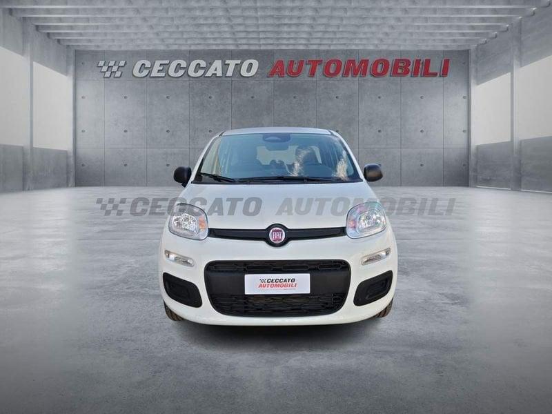 FIAT Panda Panda 1.0 70cv Hybrid Icon