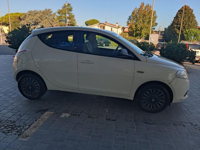 LANCIA Ypsilon 1.2 69 CV 5 porte Elefantino