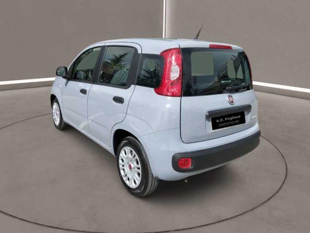 FIAT Panda 3ª serie - 1.0 FireFly S&S Hybrid