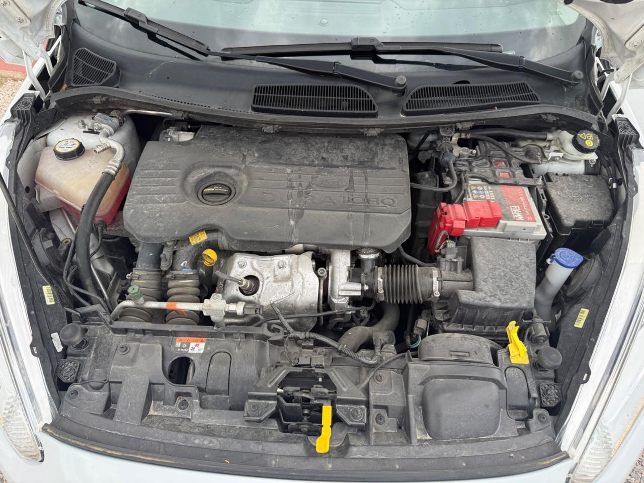 Ford Fiesta 1.5 TDCi 75CV 5 porte ST-Line