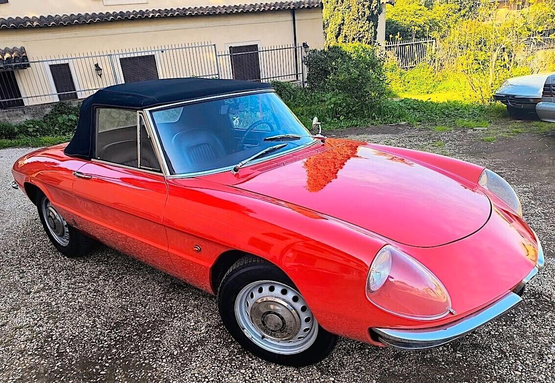 Alfa Romeo Spider 1600 OSSO DI SEPPIA