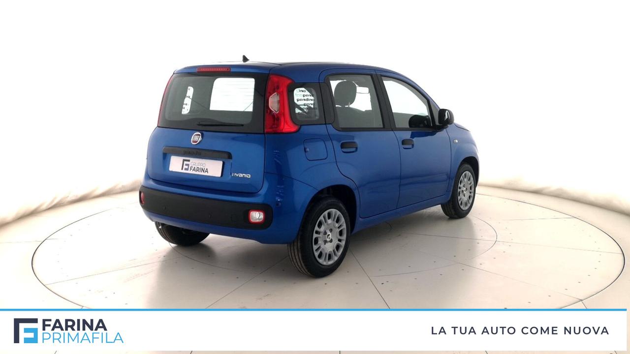 FIAT Panda III 2021 - Panda 1.0 firefly hybrid Pop s&s 70cv